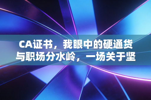 CA证书,我眼中的硬通货与职场分水岭,一场关于坚持与蜕变的修行
