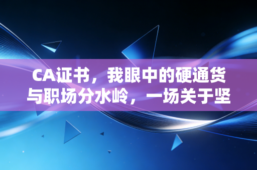 CA证书，我眼中的硬通货与职场分水岭，一场关于坚持与蜕变的修行