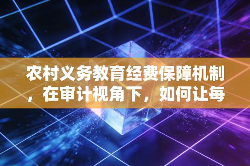 农村义务教育经费保障机制，在审计视角下，如何让每一分钱都听见拔节生长的声音
