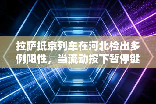 拉萨抵京列车在河北检出多例阳性，当流动按下暂停键，审计人的思考与坚守