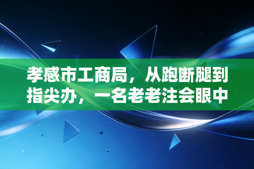 孝感市工商局，从跑断腿到指尖办，一名老老注会眼中的营商环境蝶变