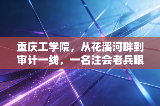 重庆工学院,从花溪河畔到审计一线,一名注会老兵眼中的工院进阶路