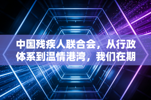 中国残疾人联合会，从行政体系到温情港湾，我们在期待一个怎样的残健共融？