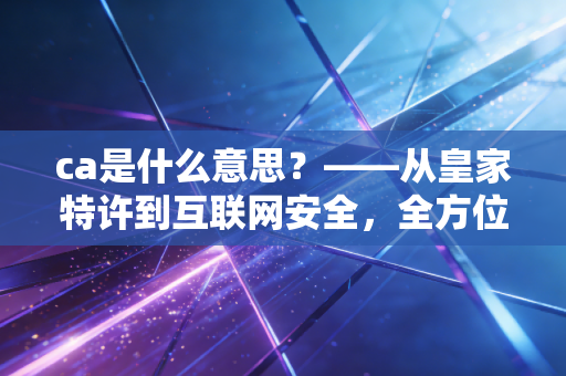 ca是什么意思?——从皇家特许到互联网安全,全方位解读这个缩写背后的职业密码