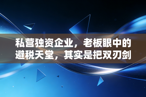 私营独资企业，老板眼中的避税天堂，其实是把双刃剑？一个注会从业者的真心话