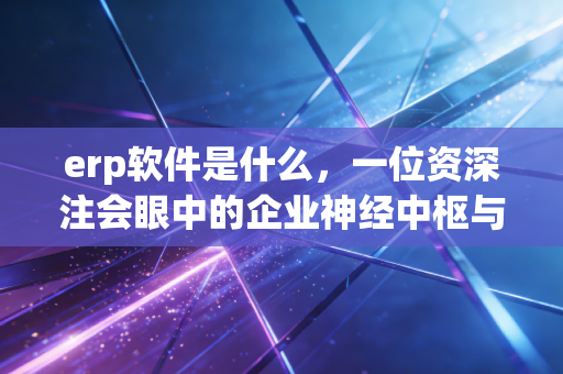 erp软件是什么,一位资深注会眼中的企业神经中枢与财务避风港
