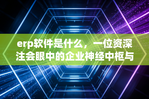 erp软件是什么，一位资深注会眼中的企业神经中枢与财务避风港