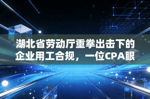 湖北省劳动厅重拳出击下的企业用工合规，一位CPA眼中的生存博弈与财务智慧