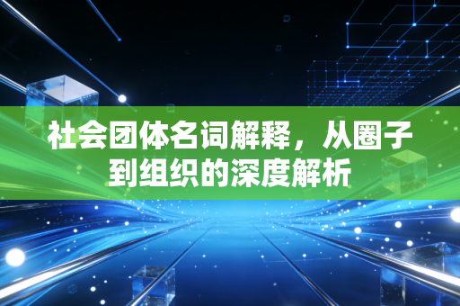 社会团体名词解释，从圈子到组织的深度解析