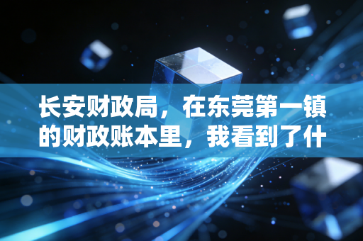 长安财政局,在东莞第一镇的财政账本里,我看到了什么?