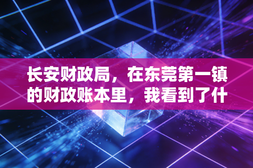 长安财政局，在东莞第一镇的财政账本里，我看到了什么？