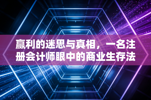 赢利的迷思与真相，一名注册会计师眼中的商业生存法则