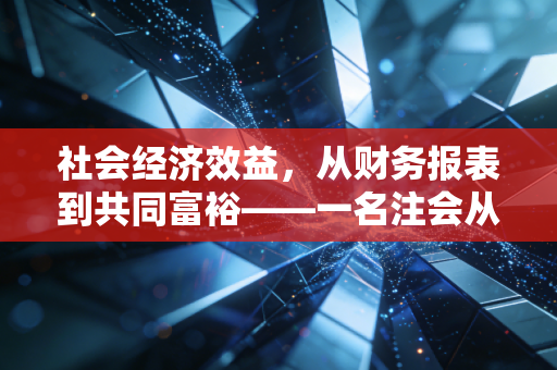社会经济效益,从财务报表到共同富裕——一名注会从业者的深度思考