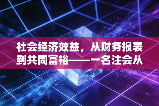 社会经济效益，从财务报表到共同富裕——一名注会从业者的深度思考