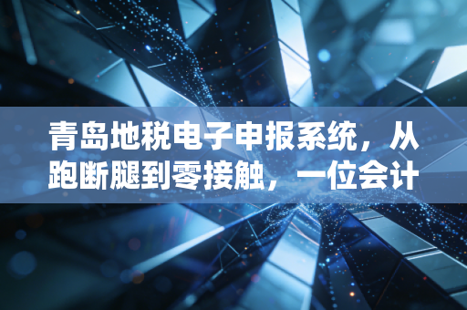 青岛地税电子申报系统,从跑断腿到零接触,一位会计老兵的数字化独白