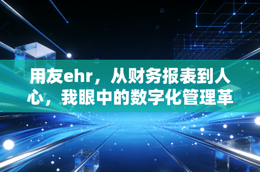 用友ehr,从财务报表到人心,我眼中的数字化管理革命
