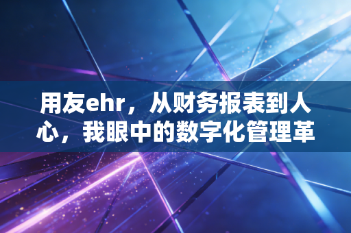 用友ehr,从财务报表到人心,我眼中的数字化管理革命