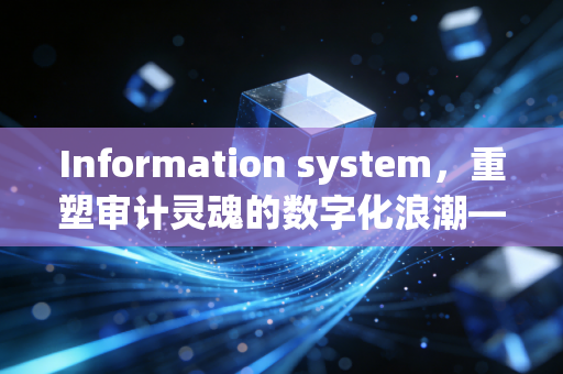 Information system，重塑审计灵魂的数字化浪潮——一位注会老兵的实战手记