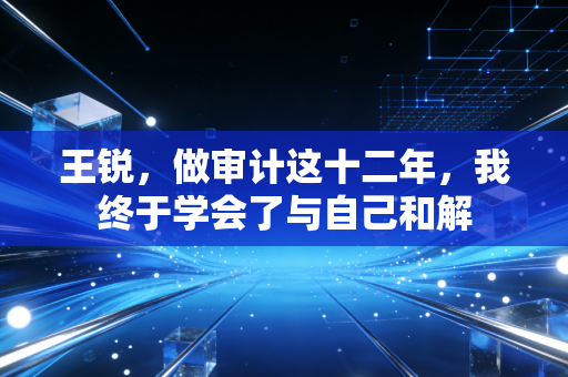 王锐,做审计这十二年,我终于学会了与自己和解