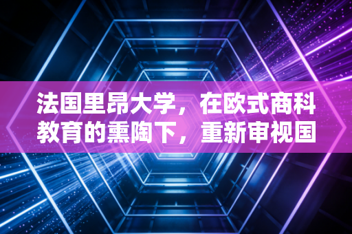 法国里昂大学，在欧式商科教育的熏陶下，重新审视国内注会人的职业突围