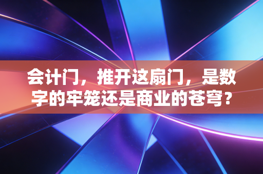 会计门,推开这扇门,是数字的牢笼还是商业的苍穹?