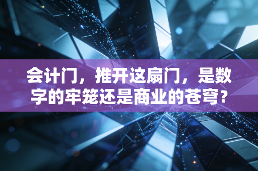 会计门,推开这扇门,是数字的牢笼还是商业的苍穹?