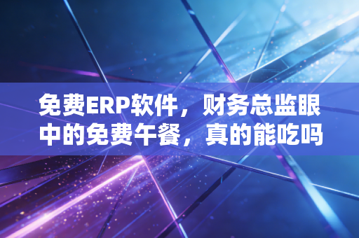 免费ERP软件,财务总监眼中的免费午餐,真的能吃吗?