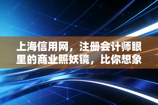 上海信用网，注册会计师眼里的商业照妖镜，比你想象的更懂你