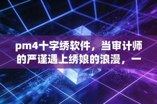 pm4十字绣软件,当审计师的严谨遇上绣娘的浪漫,一场关于精准与效率的跨界对话
