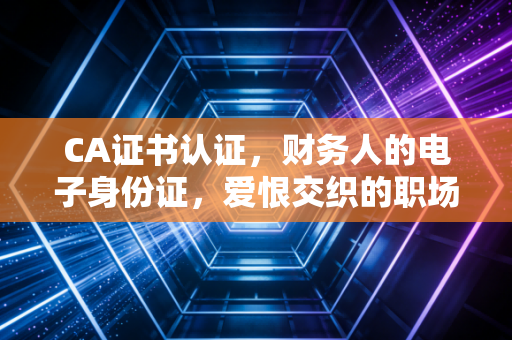 CA证书认证,财务人的电子身份证,爱恨交织的职场生存指南