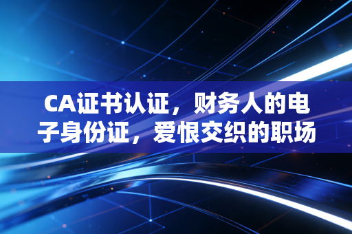 CA证书认证,财务人的电子身份证,爱恨交织的职场生存指南