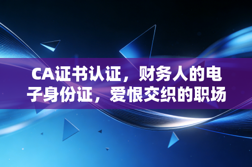 CA证书认证，财务人的电子身份证，爱恨交织的职场生存指南