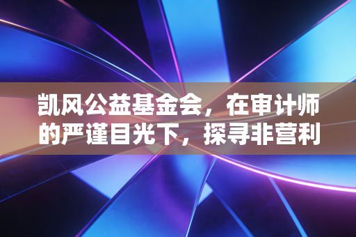 凯风公益基金会,在审计师的严谨目光下,探寻非营利组织的长期主义价值