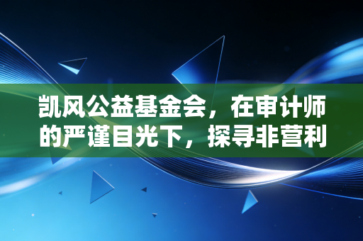 凯风公益基金会，在审计师的严谨目光下，探寻非营利组织的长期主义价值