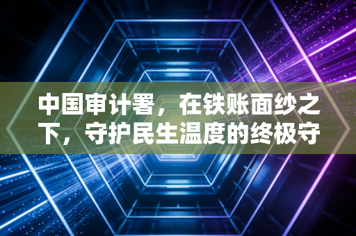 中国审计署,在铁账面纱之下,守护民生温度的终极守门人