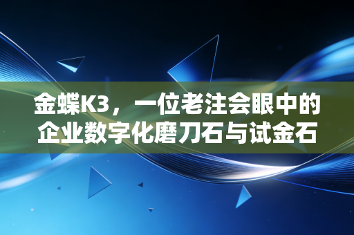 金蝶K3，一位老注会眼中的企业数字化磨刀石与试金石