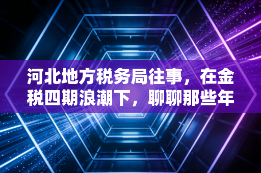 河北地方税务局往事，在金税四期浪潮下，聊聊那些年我们经历过的税务爱恨情仇