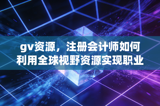gv资源,注册会计师如何利用全球视野资源实现职业跃迁