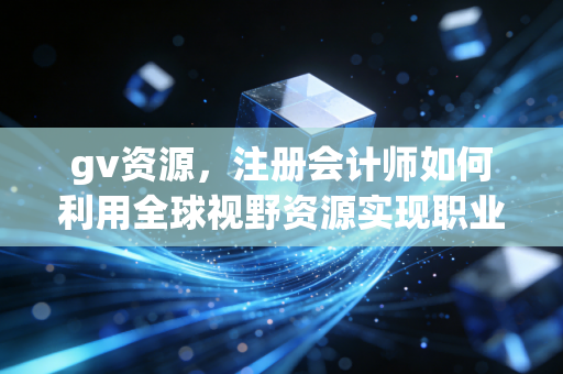 gv资源,注册会计师如何利用全球视野资源实现职业跃迁