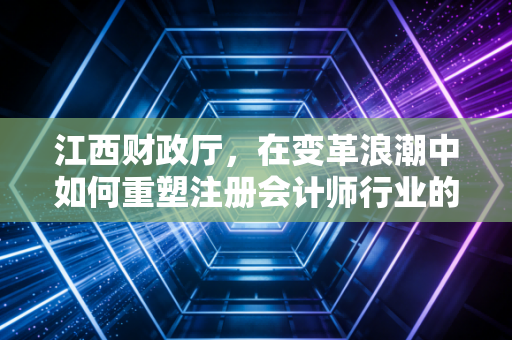 江西财政厅,在变革浪潮中如何重塑注册会计师行业的生态与未来?