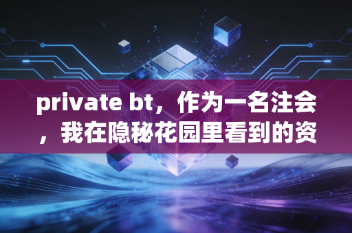 private bt，作为一名注会，我在隐秘花园里看到的资源逻辑与风险博弈