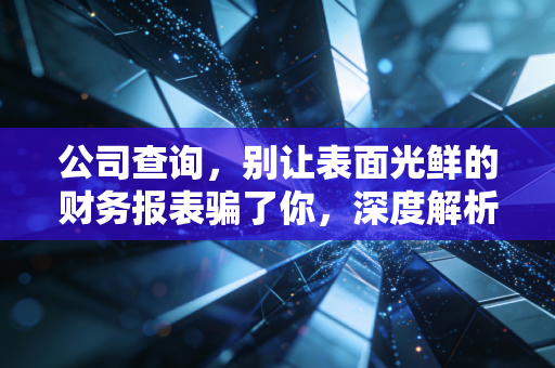 公司查询,别让表面光鲜的财务报表骗了你,深度解析企业背后的真相