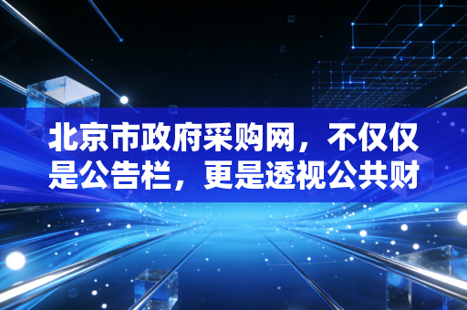 北京市政府采购网,不仅仅是公告栏,更是透视公共财政的显微镜