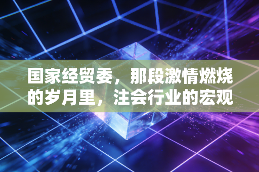 国家经贸委,那段激情燃烧的岁月里,注会行业的宏观视野与微观博弈