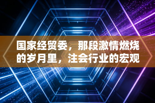 国家经贸委,那段激情燃烧的岁月里,注会行业的宏观视野与微观博弈