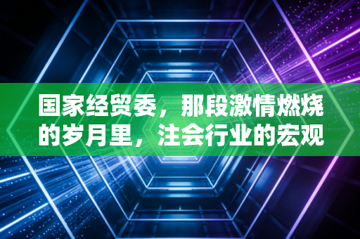 国家经贸委，那段激情燃烧的岁月里，注会行业的宏观视野与微观博弈