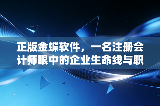 正版金蝶软件,一名注册会计师眼中的企业生命线与职业底线