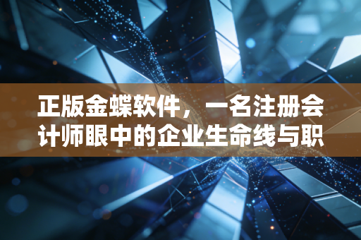 正版金蝶软件，一名注册会计师眼中的企业生命线与职业底线