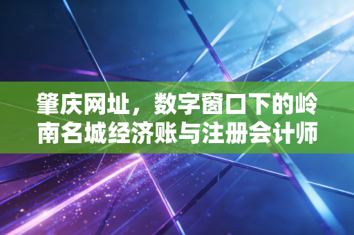 肇庆网址,数字窗口下的岭南名城经济账与注册会计师的冷思考