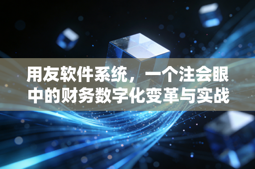 用友软件系统，一个注会眼中的财务数字化变革与实战感悟